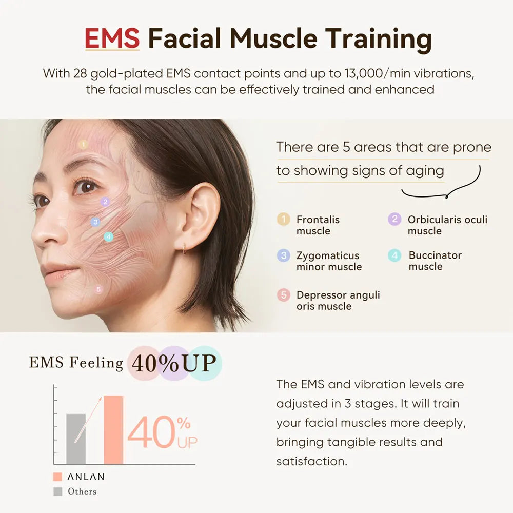 EMS facial muscle training diagram showing treatment areas and skin benefits for anti-aging facial therapy